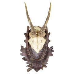 Rustic American Country Carved Antler Plaque, Early 20th Century