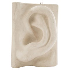Italian Renaissance Plaster Ear Detail of Michelangelo's David, Italy