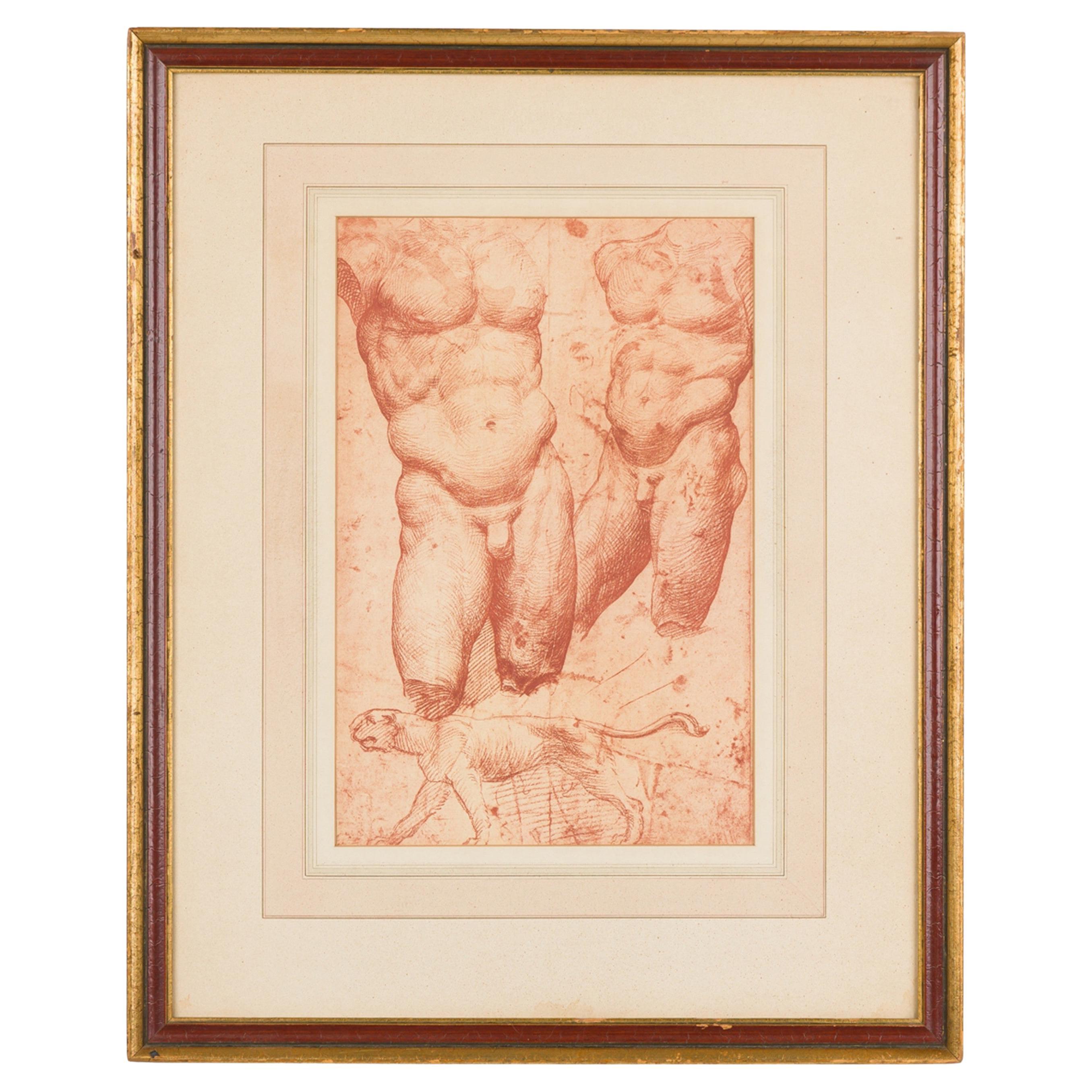 Roman Neo-Classic Print of Two Male Torsos, Gilt Framed, 19th Century For Sale