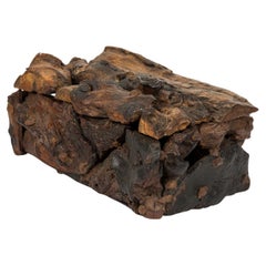 19th Century Rustic Adirondack Hinged Box in Burled Wood, USA