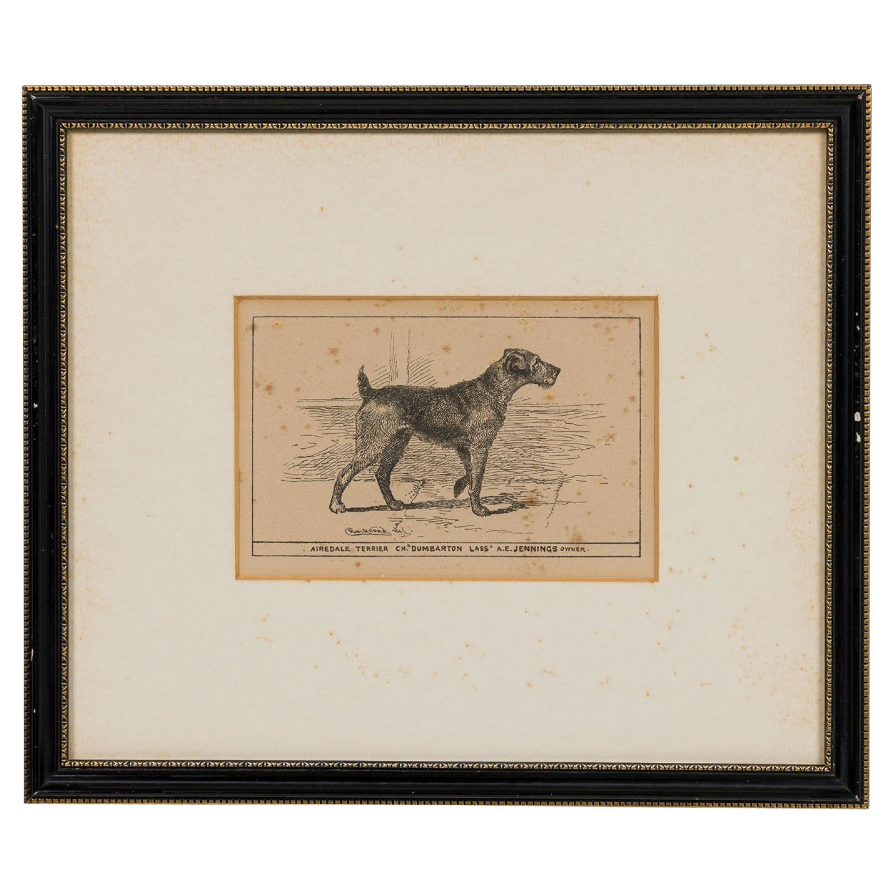 Framed American Mid-Century Print of Airedale Terrier, 13x1000 in