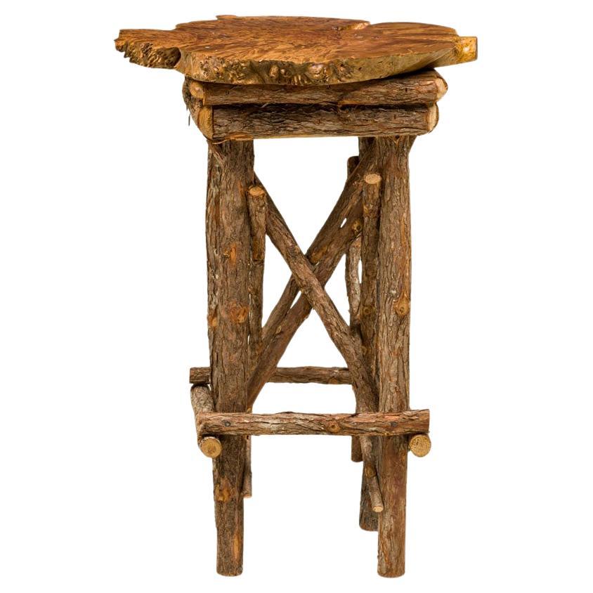 Rustic Adirondack Side Table with Petrified Wood Top, 20th Century For Sale