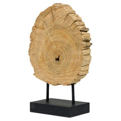 Mid-Century Modern Petrified Wood Sculpture on Metal Base, USA
