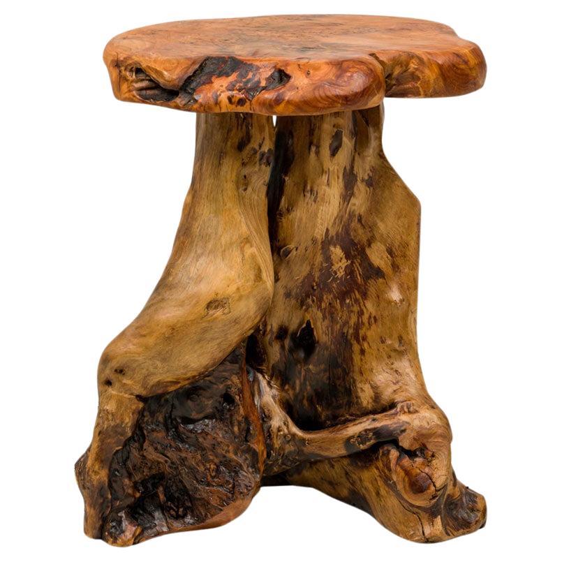 Rustic Burl Wood Side Table, Organic Scalloped Top, USA, 20th Century