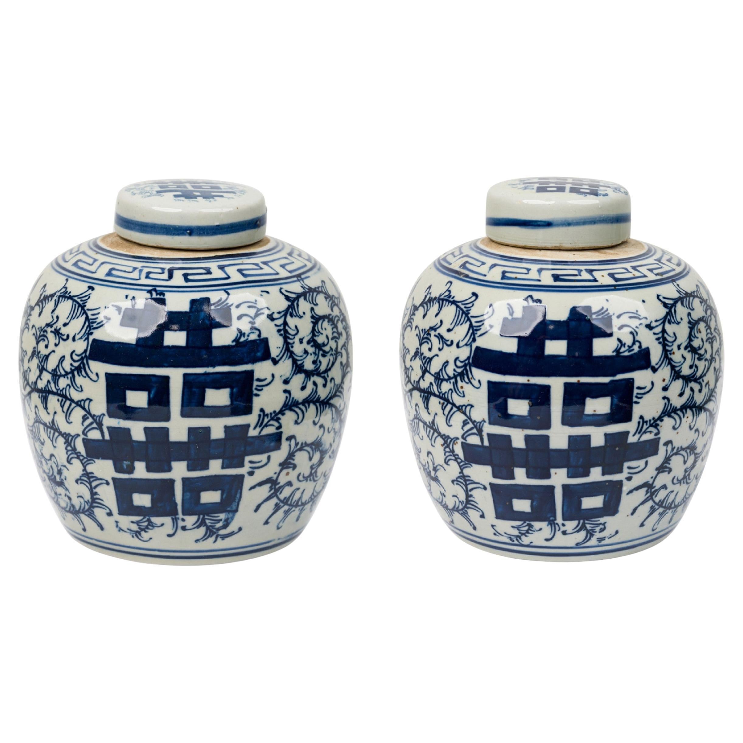 Pair of Chinese Blue & White Porcelain Ovoid Jars with Floral Design For Sale