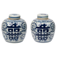 Pair of Chinese Blue & White Porcelain Ovoid Jars with Floral Design