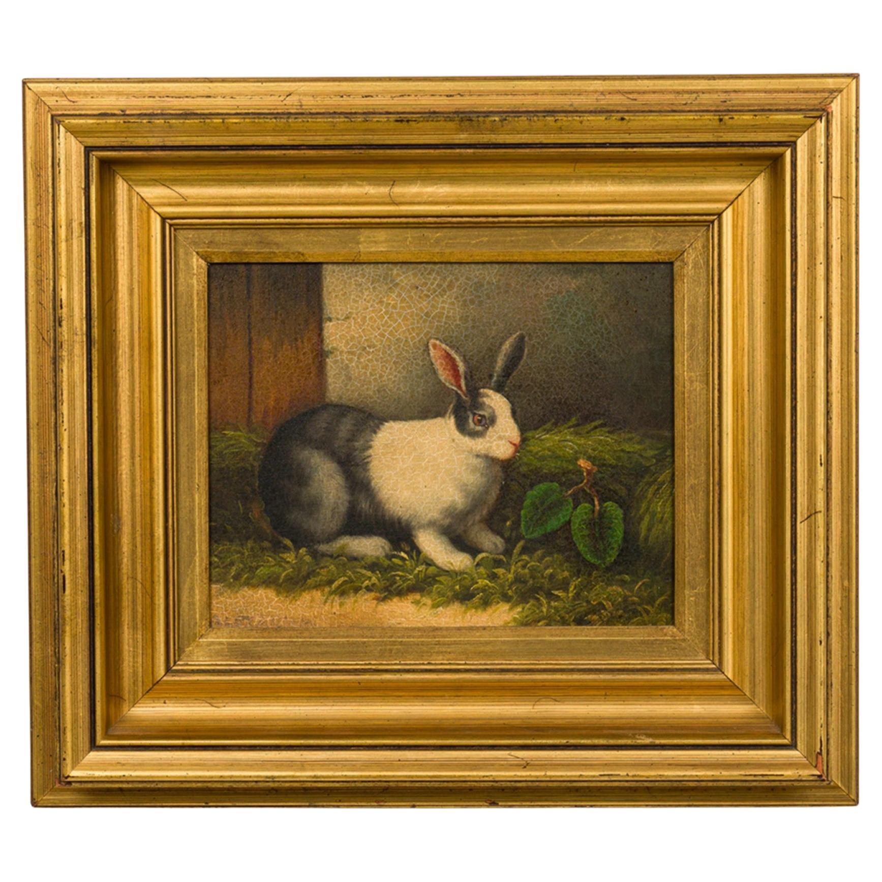 Peinture à l'huile anglaise du XIXe siècle représentant un lapin gris et blanc, signée