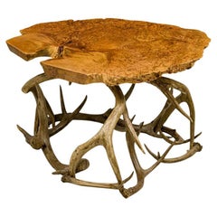 19th Century Rustic Side Table with Petrified Wood and Antler Base