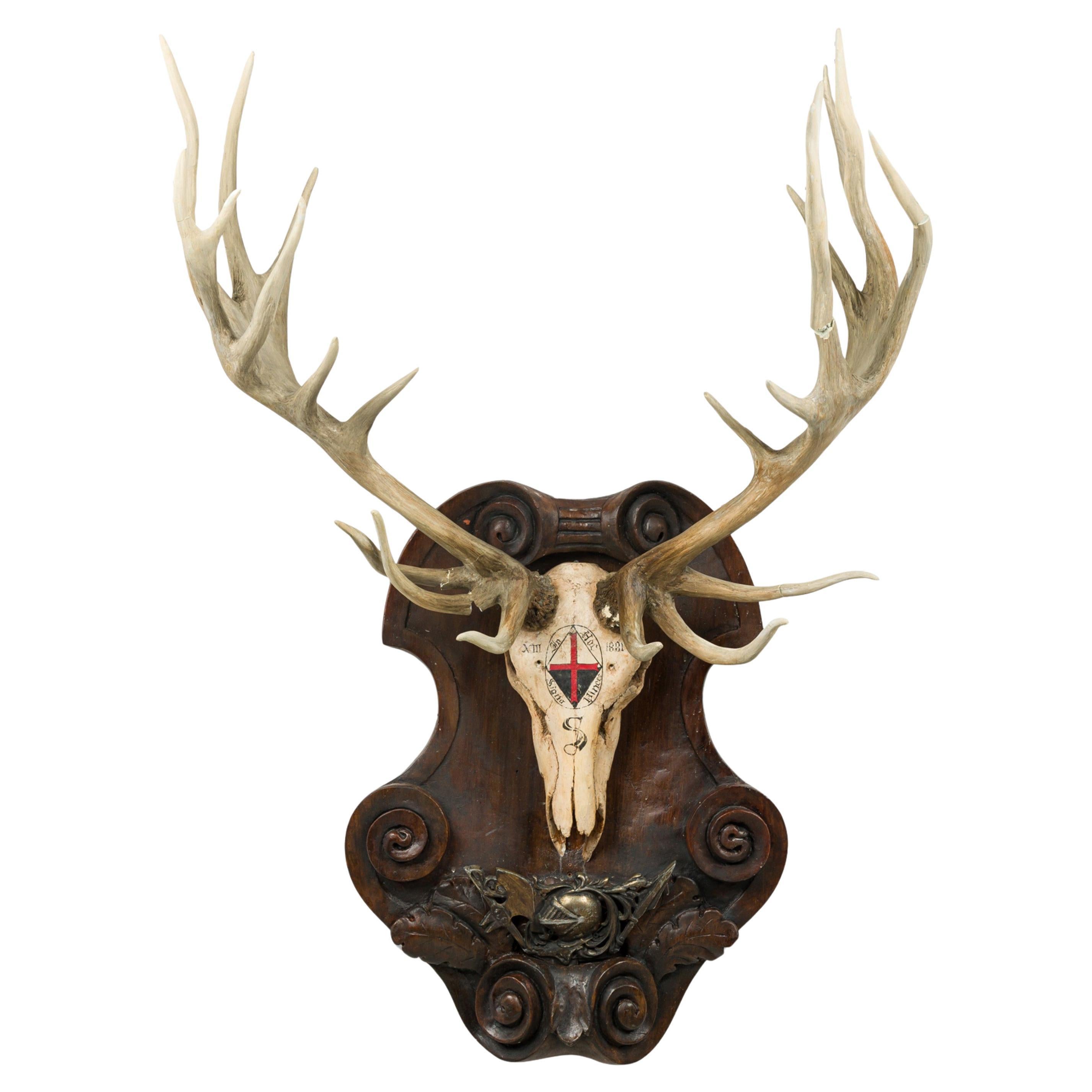 19th Century Rustic Elm Elk Skull Wall Plaque with Cross Insignia For Sale