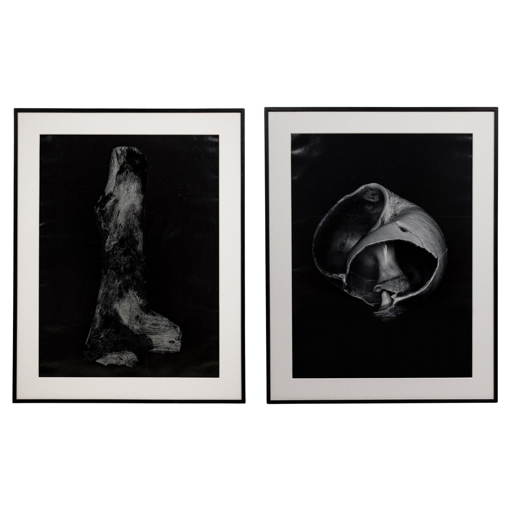Set of 2 Large Format Gelatin Silver Prints, Modern, 20th Century, 1/3