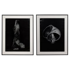 Set of 2 Large Format Gelatin Silver Prints, Modern, 20th Century, 1/3