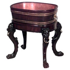 19th Century English Georgian Mahogany Lion Planter with Brass Trim