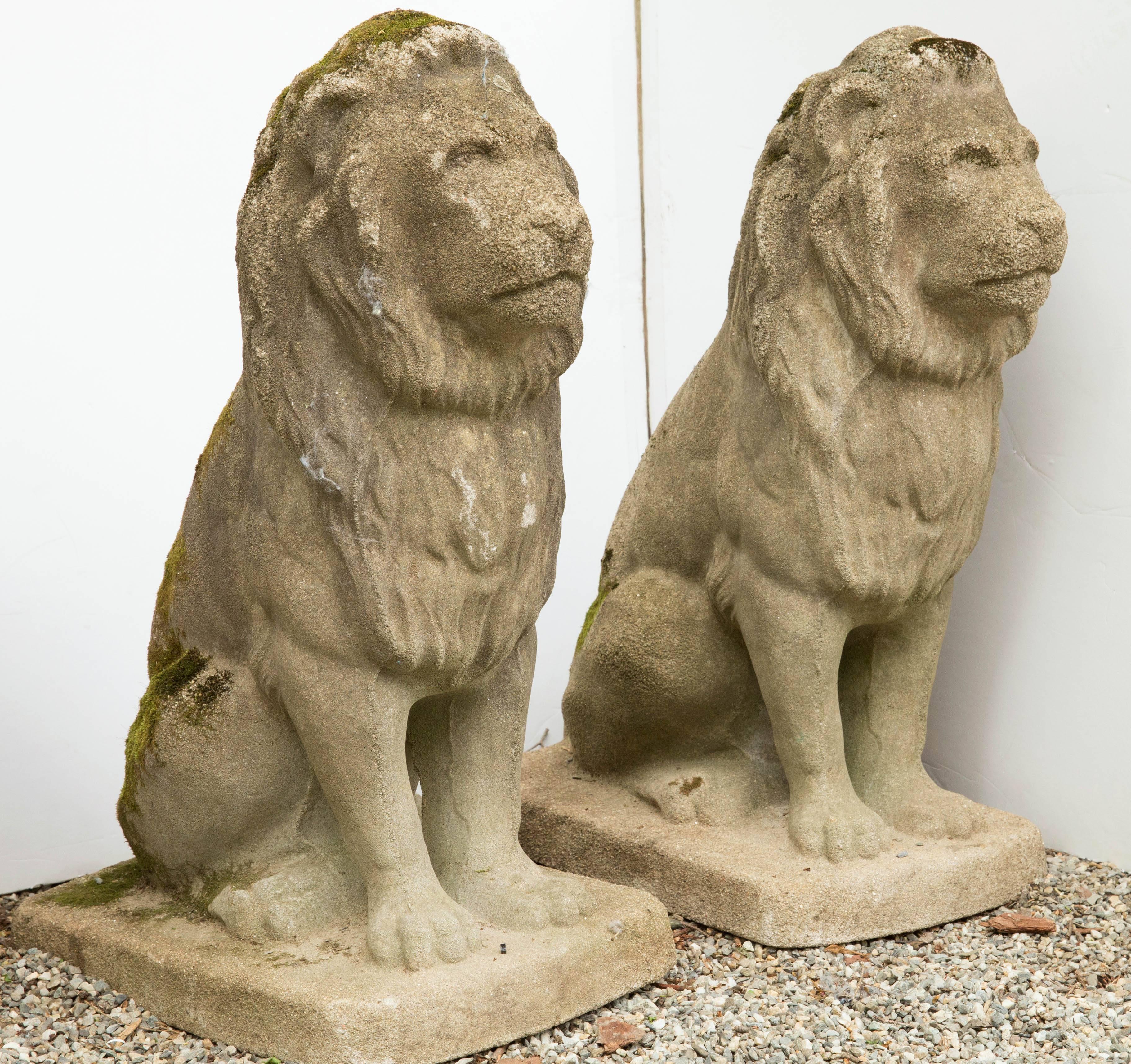 A pair of mid-20th cast stone lions seated on plinths. Well-developed weathered and mossy patina. The perfect size for an entryway.
