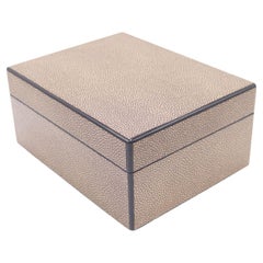 Rectangular Brown Shagreen Box