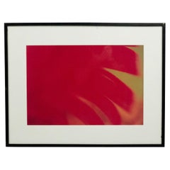 Color Photograph Detail of a Red Flower