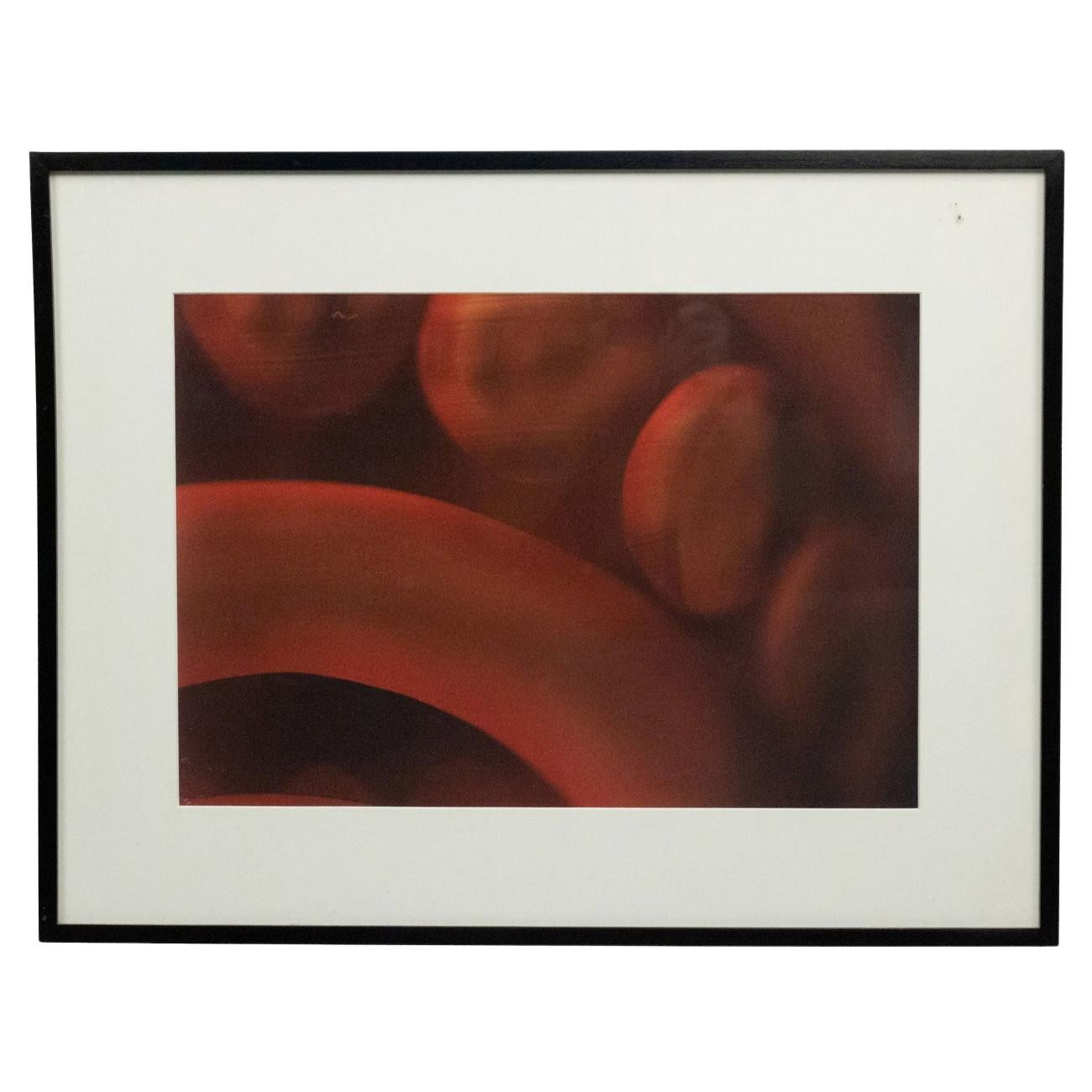 Photographie couleur détaillée de formes abstraites rouges