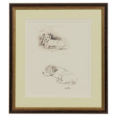 American Mid-Century Framed Print of a Scottish Terrier