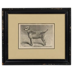 American Mid-Century Framed Print of an Airdale-Terrier