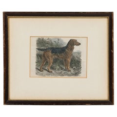 American Mid-Century Framed Print of an Airdale-Terrier