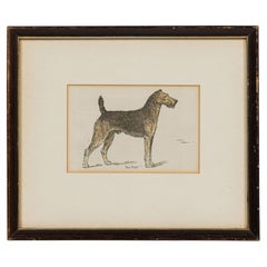 American Mid-Century Framed Print of an Airdale-Terrier