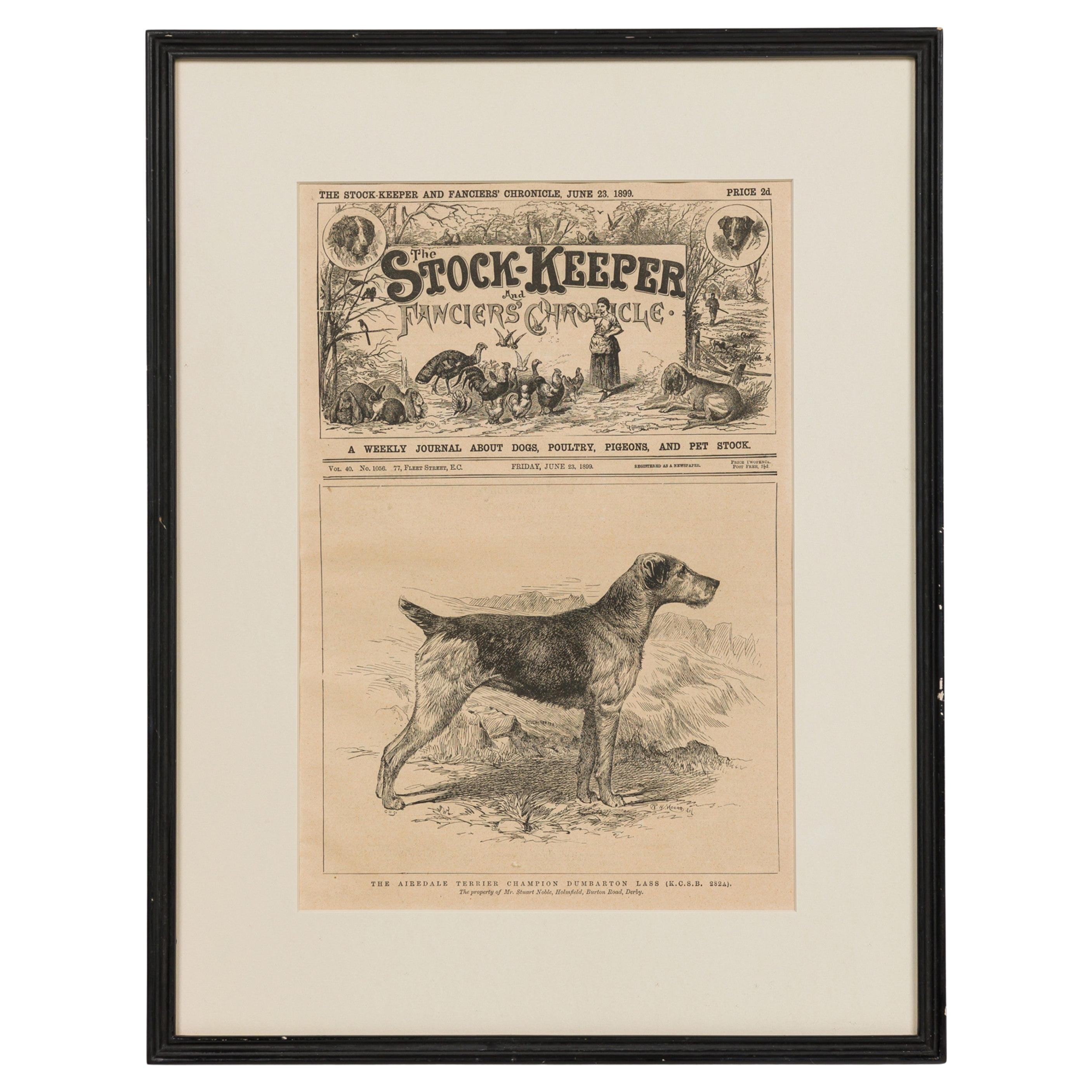 American Victorian Framed Print of an Airdale-Terrier For Sale