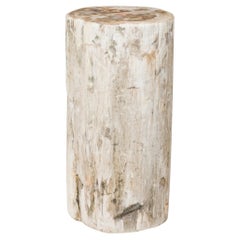 Natural Live Edge Petrified Wood Stump