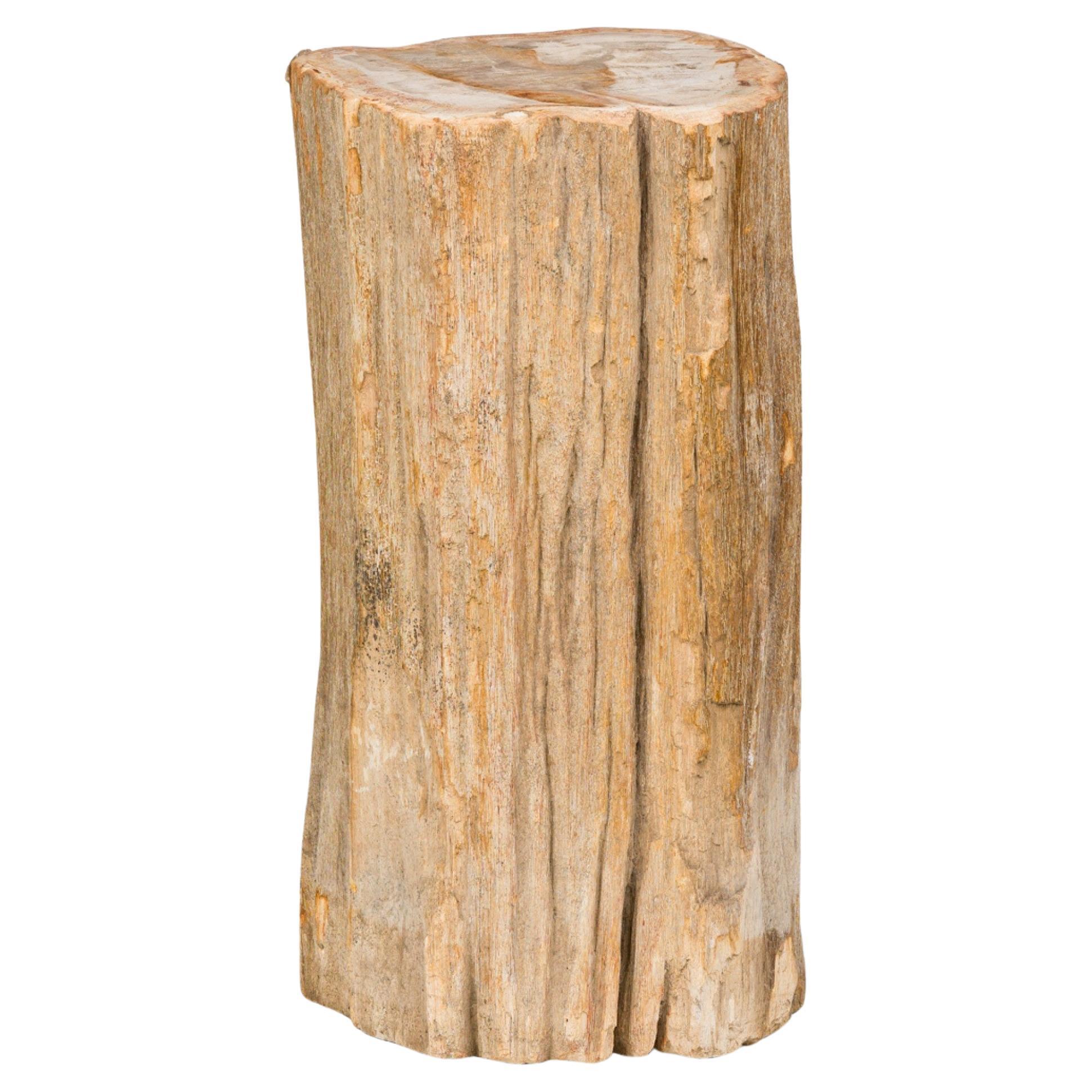 Souche en bois pétrifié Nature Live Edge