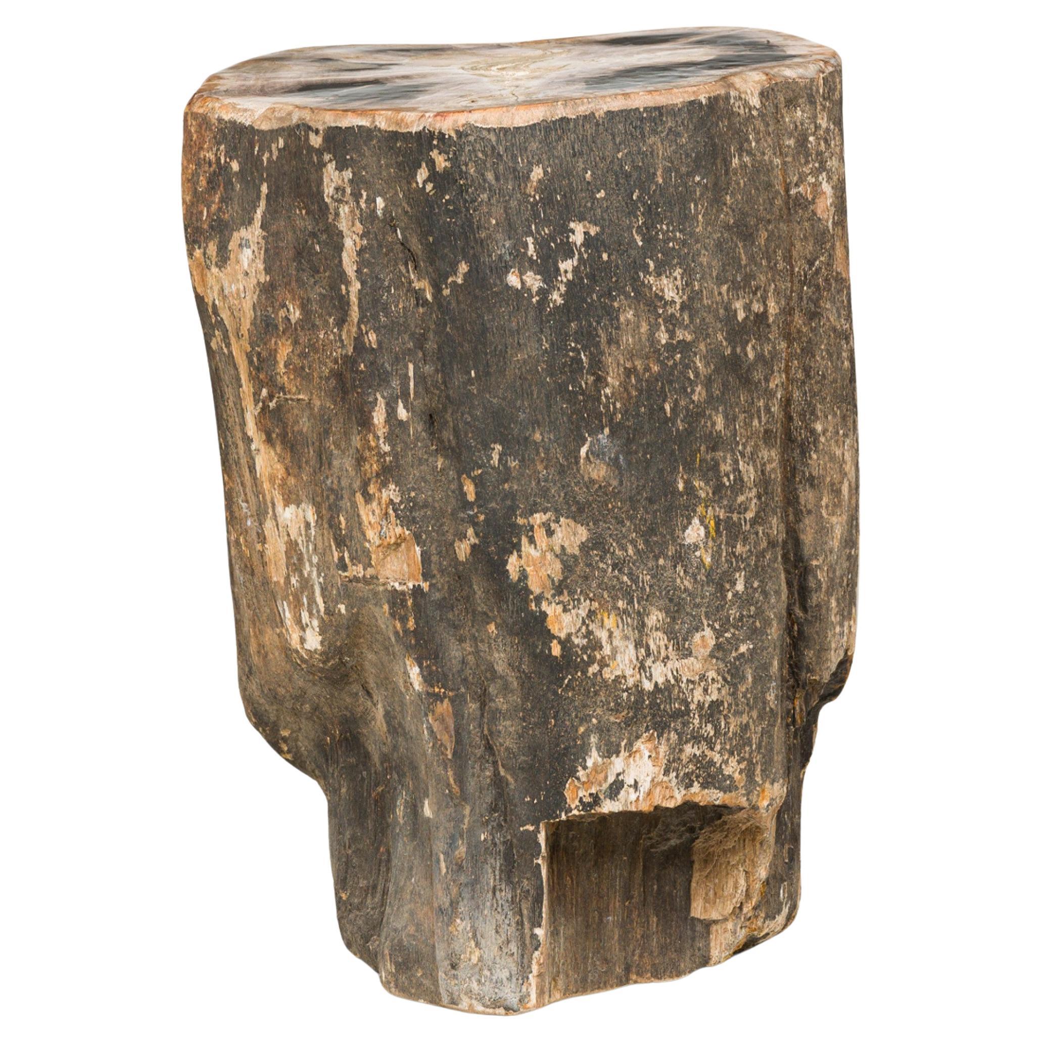 Natural Live Edge Petrified Wood Stump