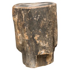 Natural Live Edge Petrified Wood Stump