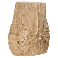 Natural Live Edge Petrified Wood Stump