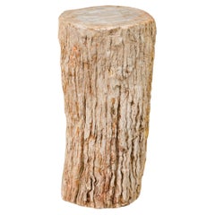 Natural Live Edge Petrified Wood Stump