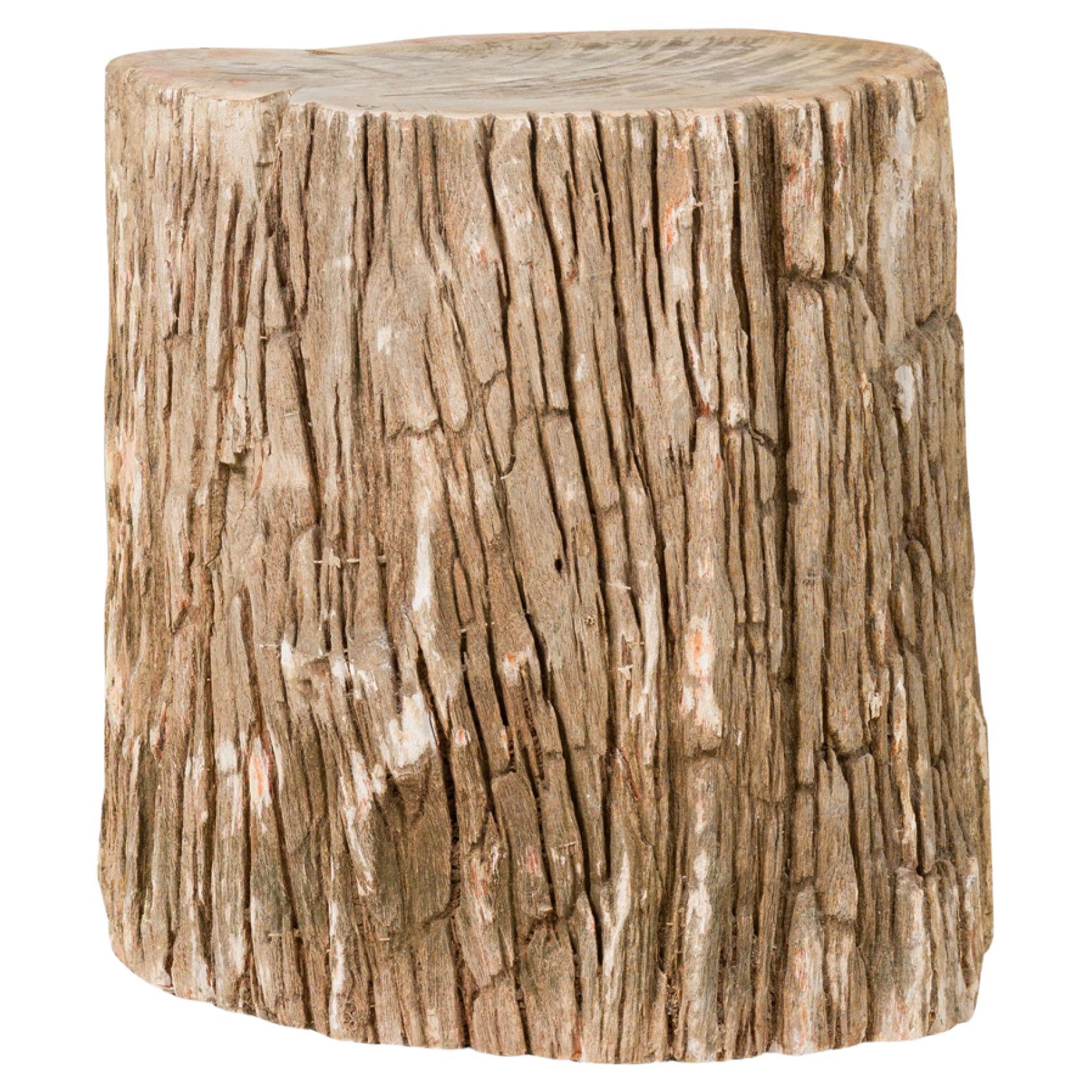 Natürliche Live Edge versteinerten Holzstumpf