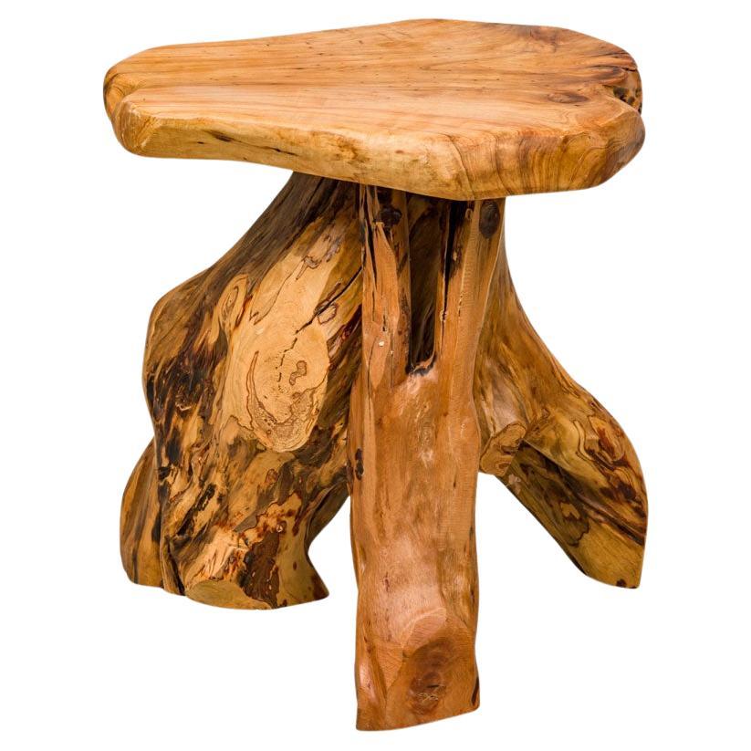 Rustic Wooden Tree Root Side Table with Organic Curved Top