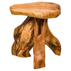 Rustic Wooden Tree Root Side Table with Organic Curved Top
