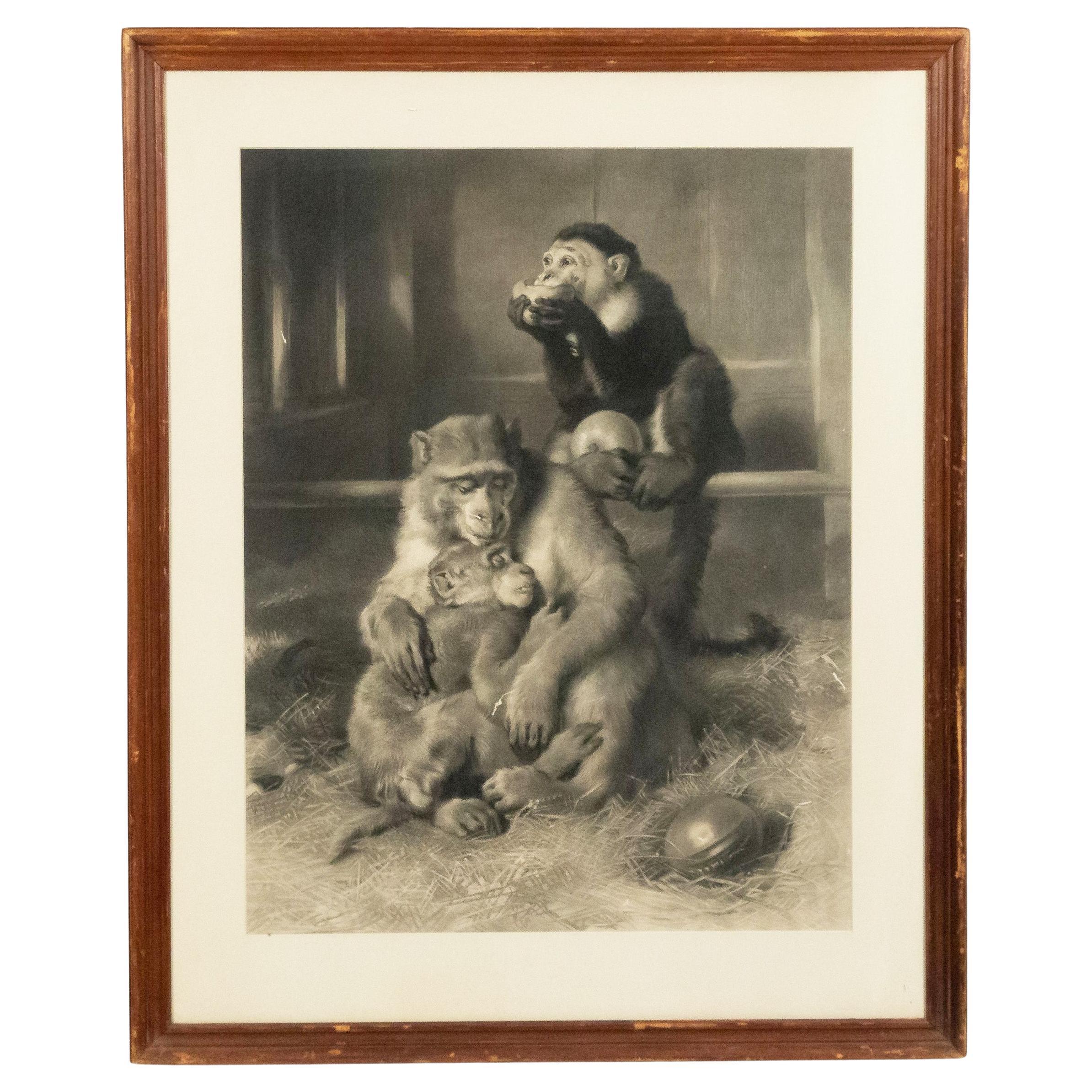 English Victorian Monkeys Lithograph