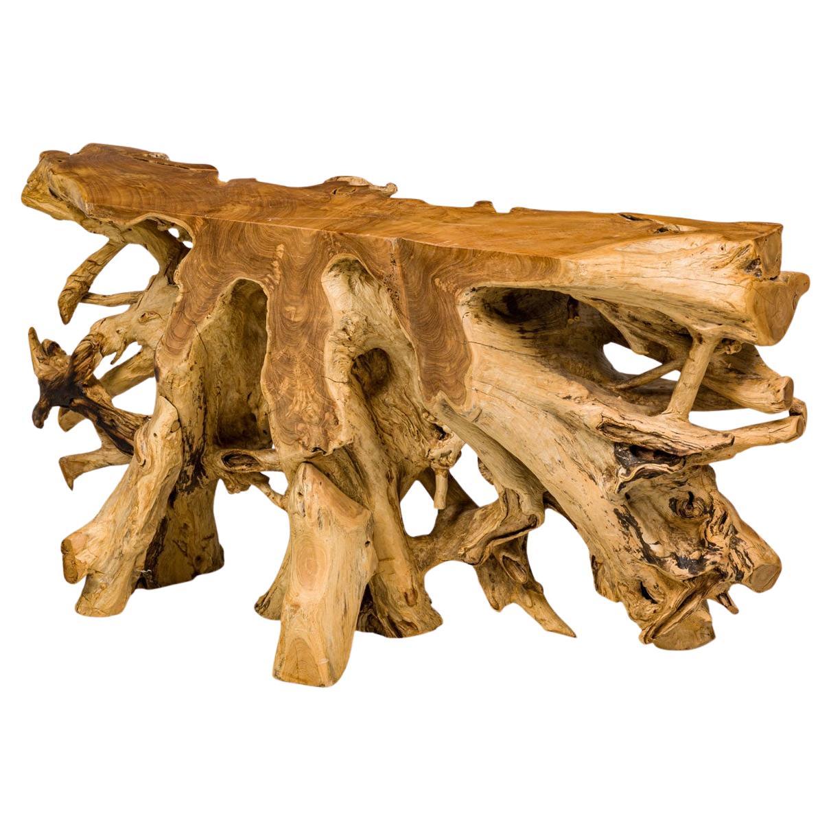 Rustic Live Edge Tree Root ConsoleTable For Sale
