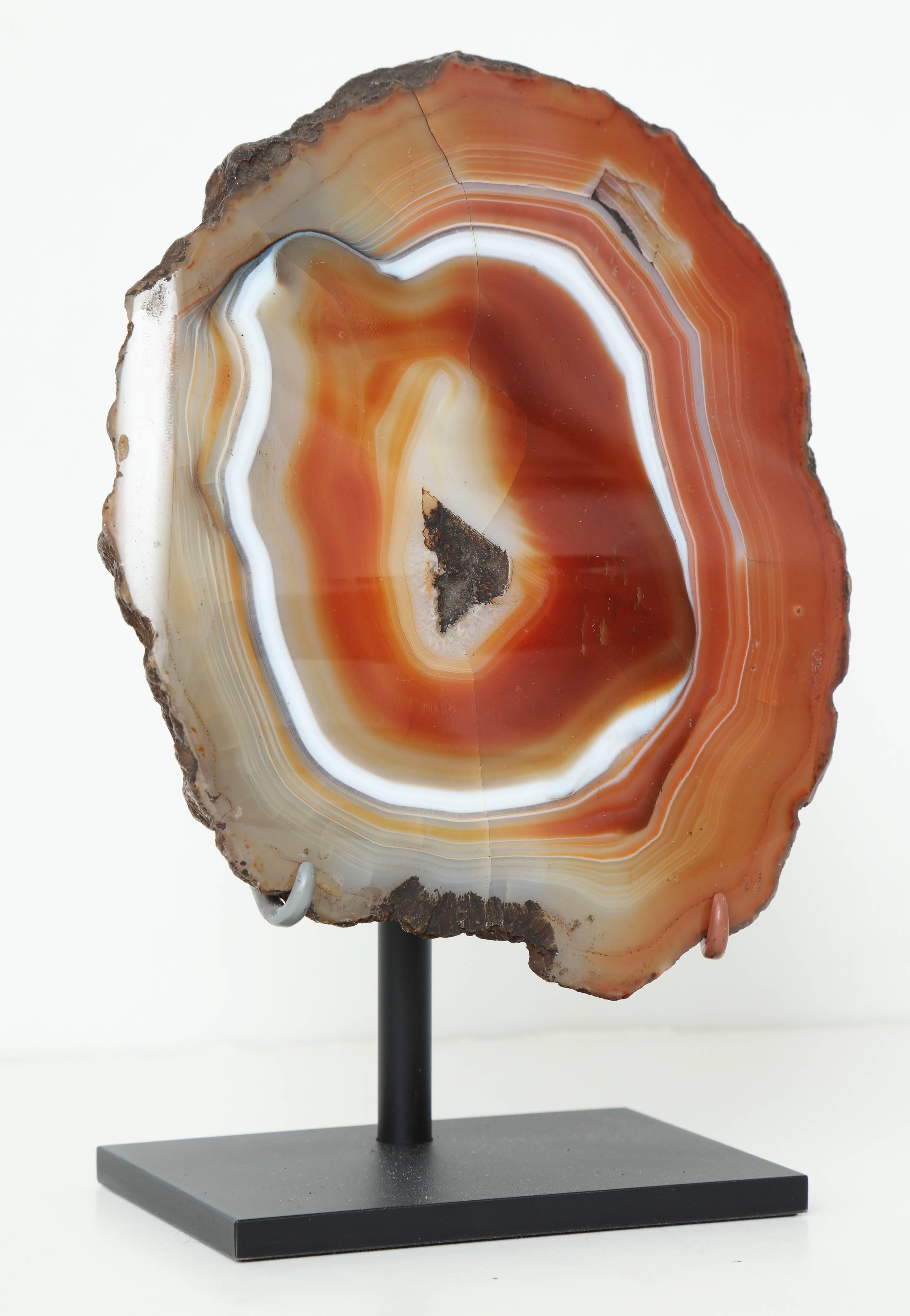 A 19th century polished agate specimen now mounted on a contemporary stand
possible Scottish.