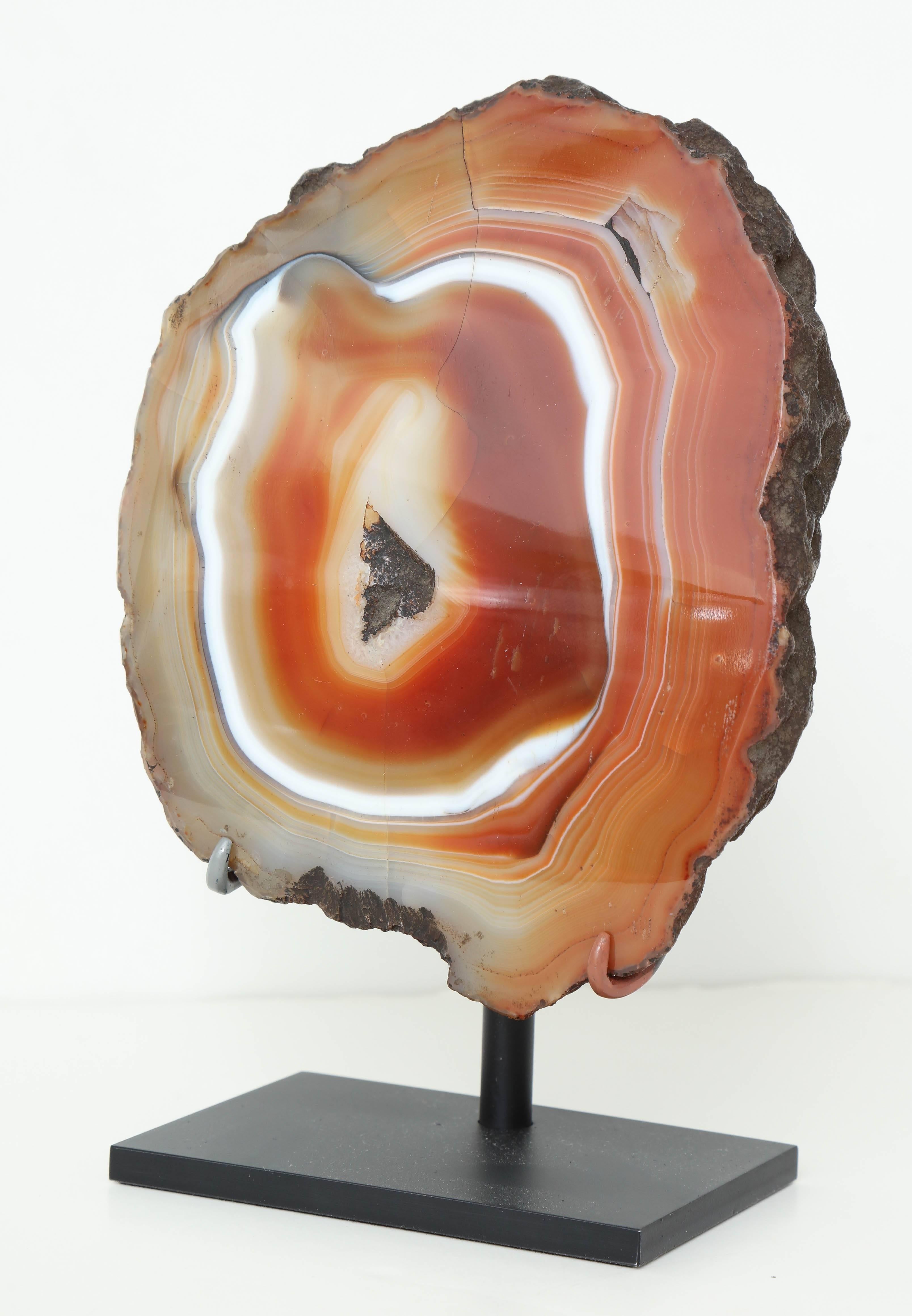 19th Century Polished Agate Specimen In Excellent Condition In New York, NY