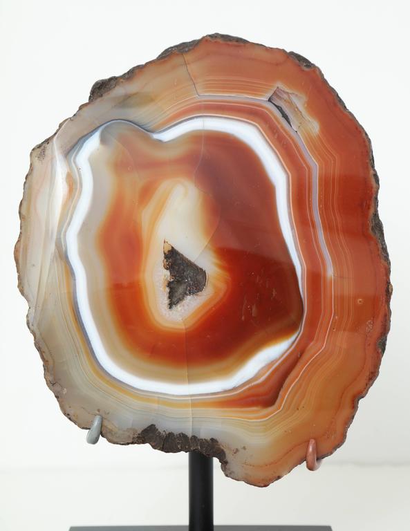 19th Century Polished Agate Specimen at 1stdibs
