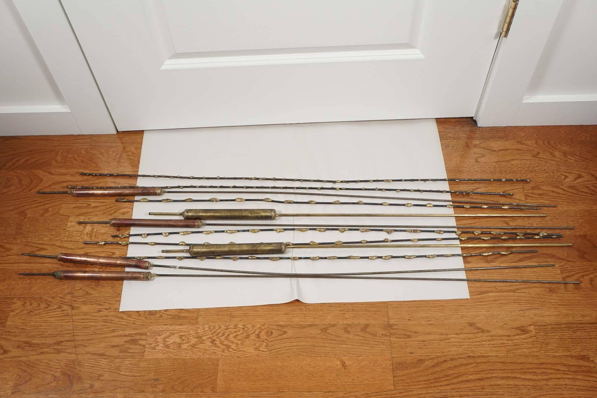 American Copper Cattails