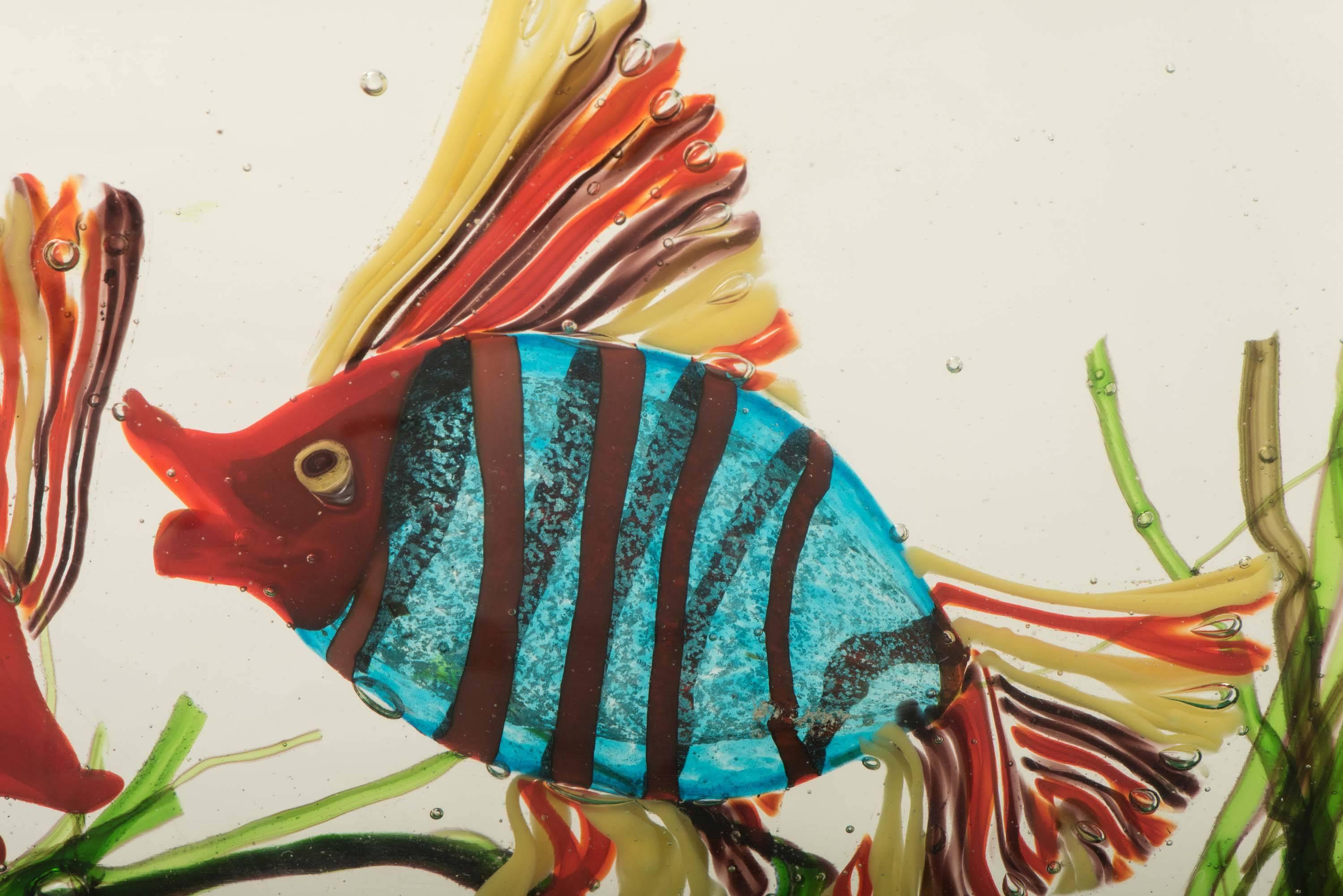 murano aquarium