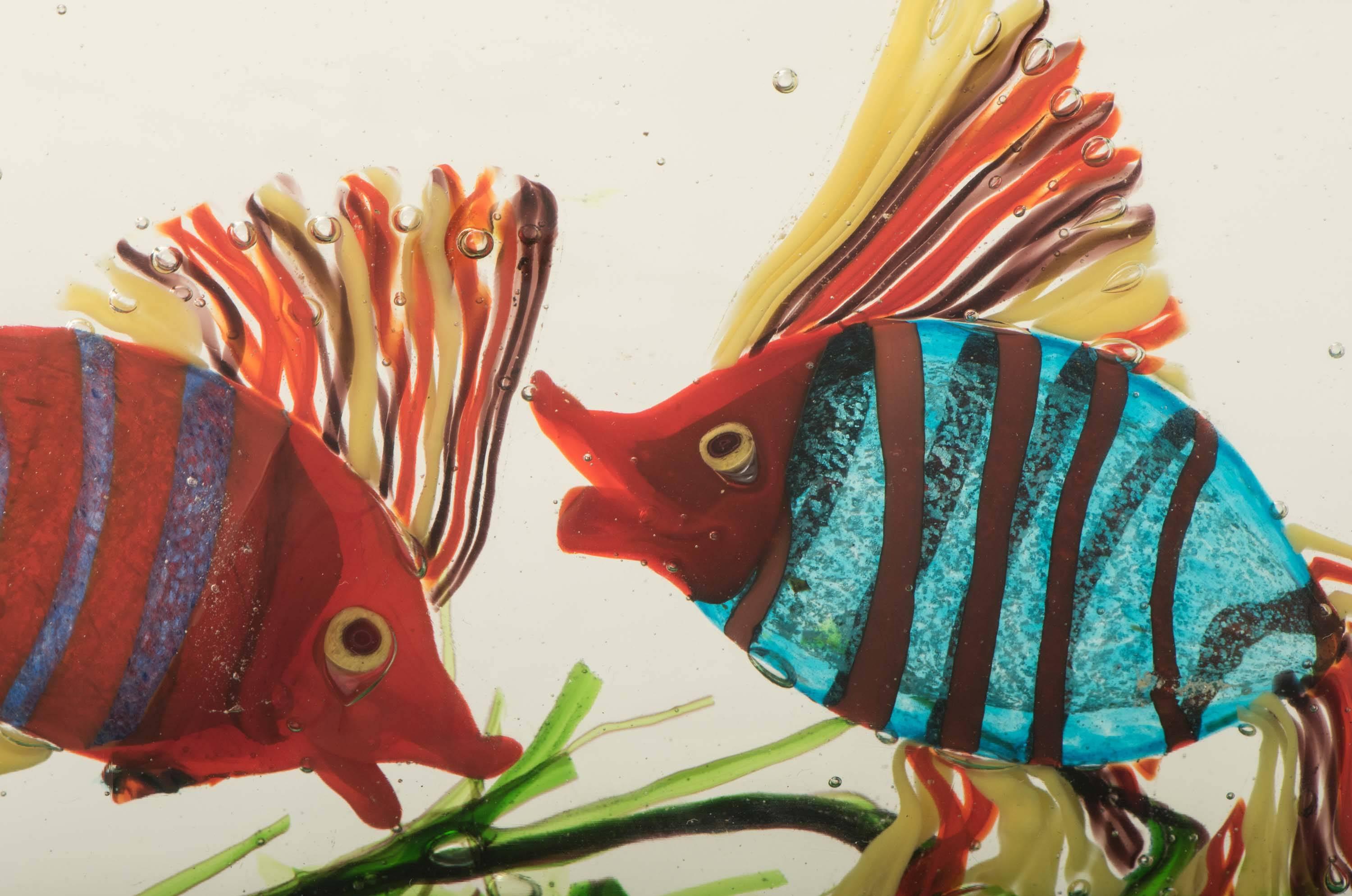 aquarium murano