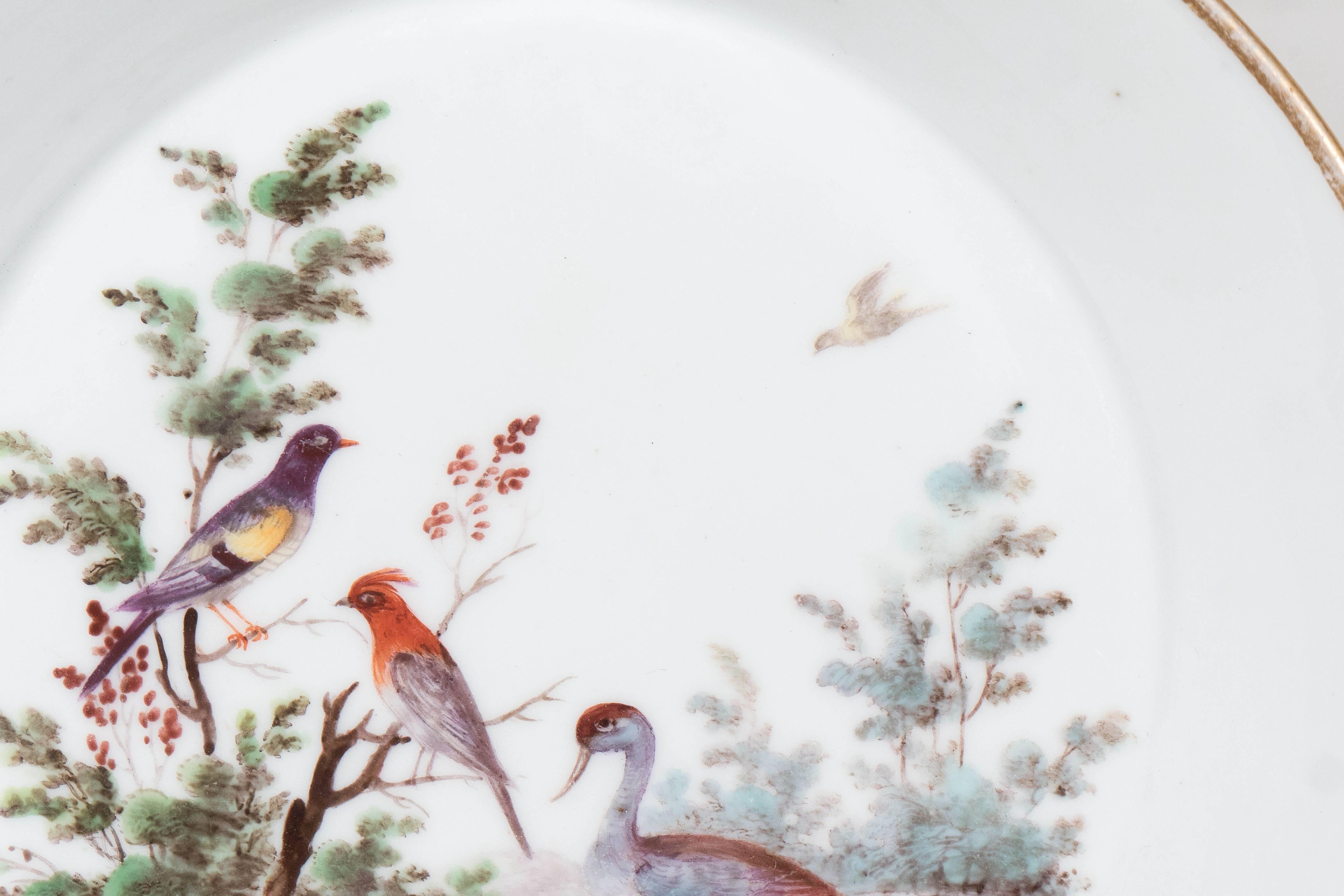 Rococo Antique Italian Porcelain Cup Painted Birds