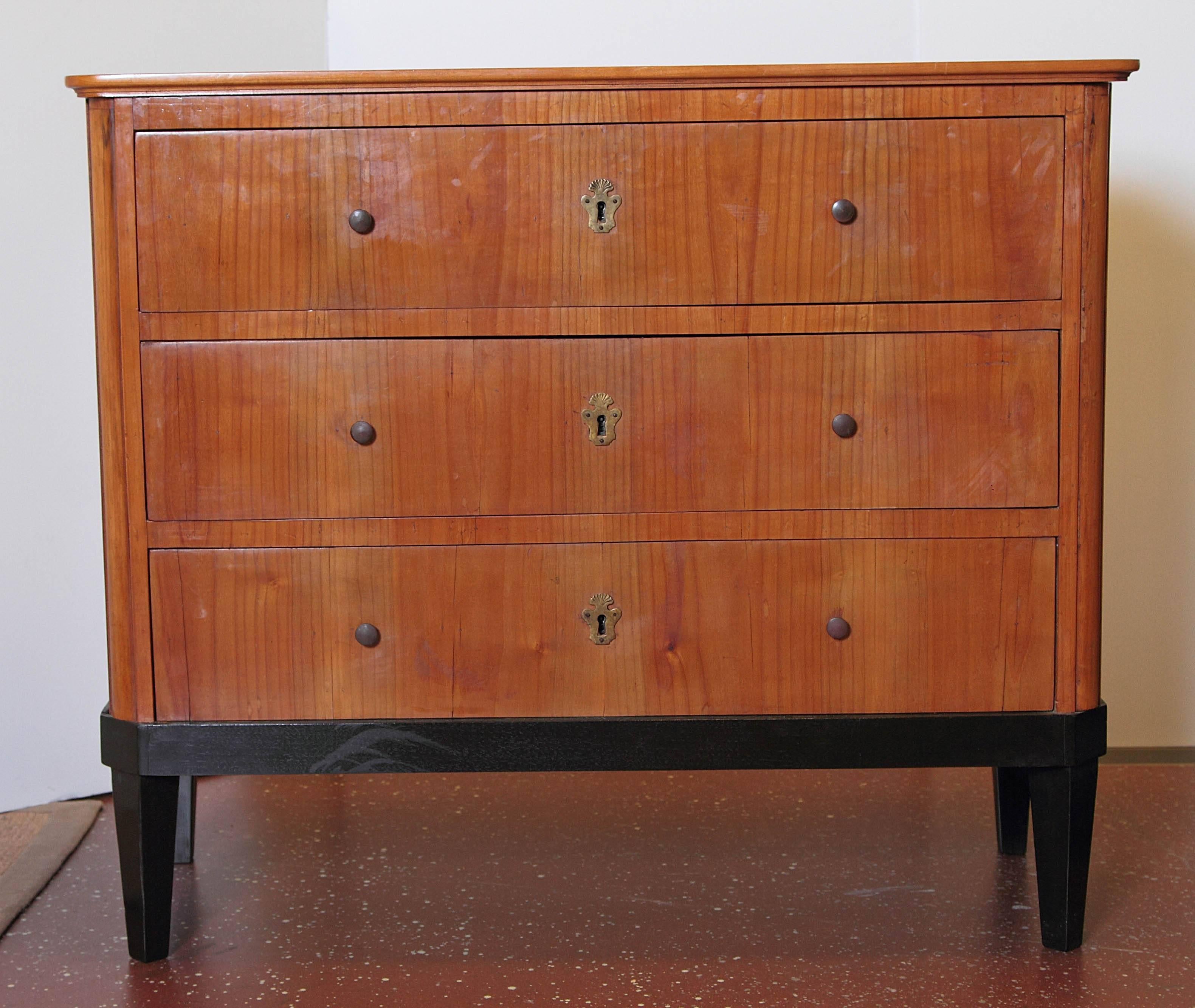 Pair of 19th Century German Biedermeier Commodes 1