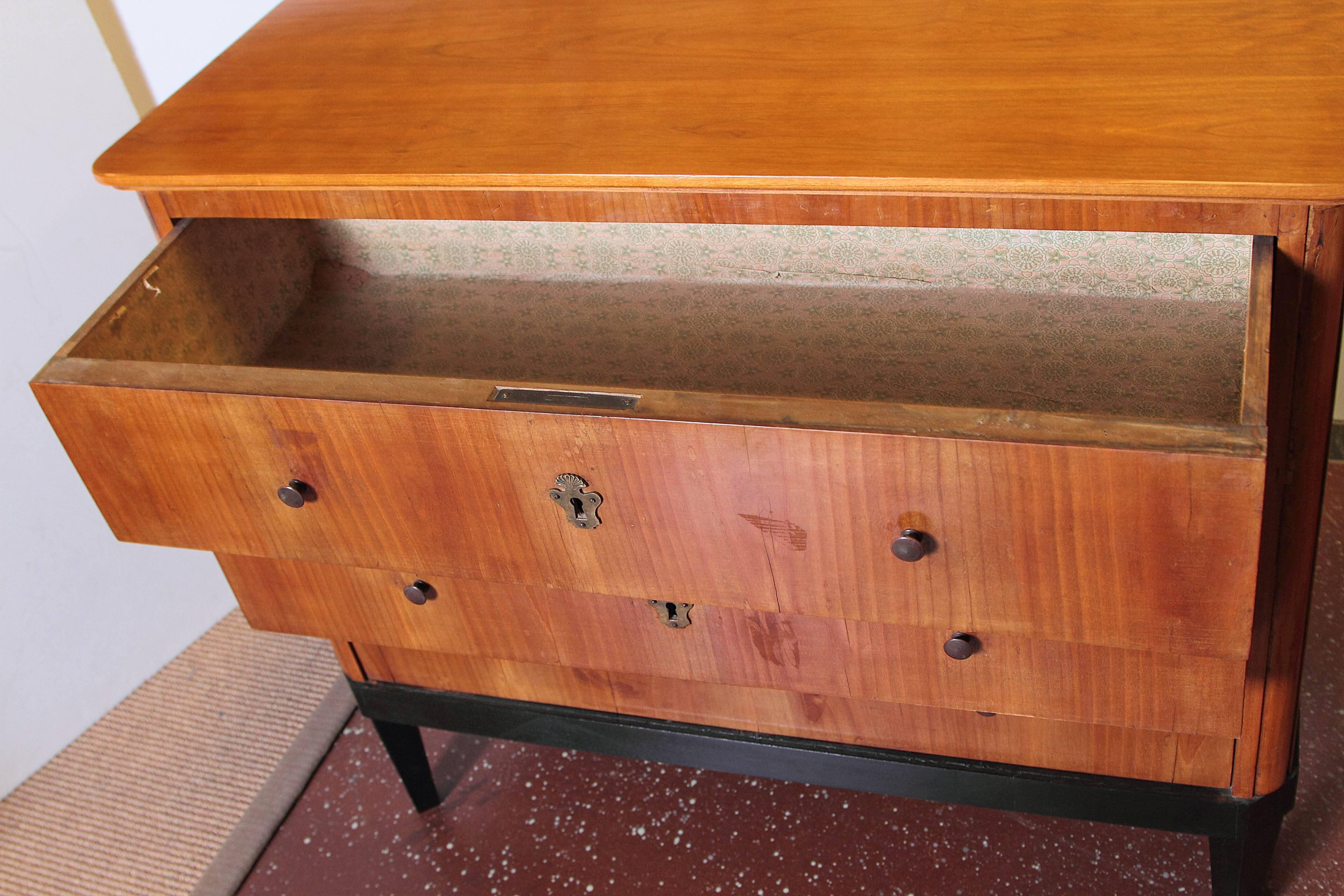 Pair of 19th Century German Biedermeier Commodes 2