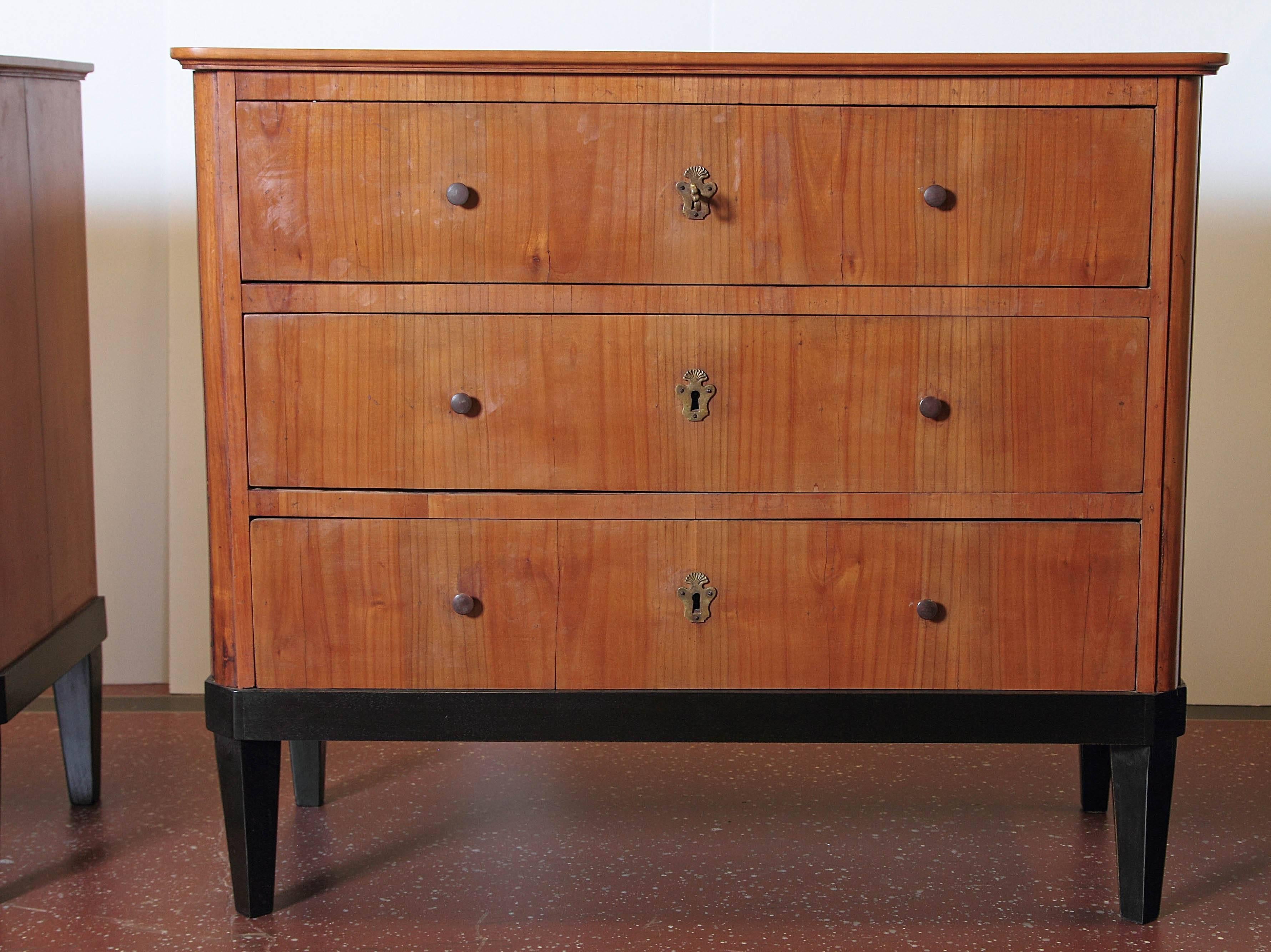 Pair of 19th Century German Biedermeier Commodes 3