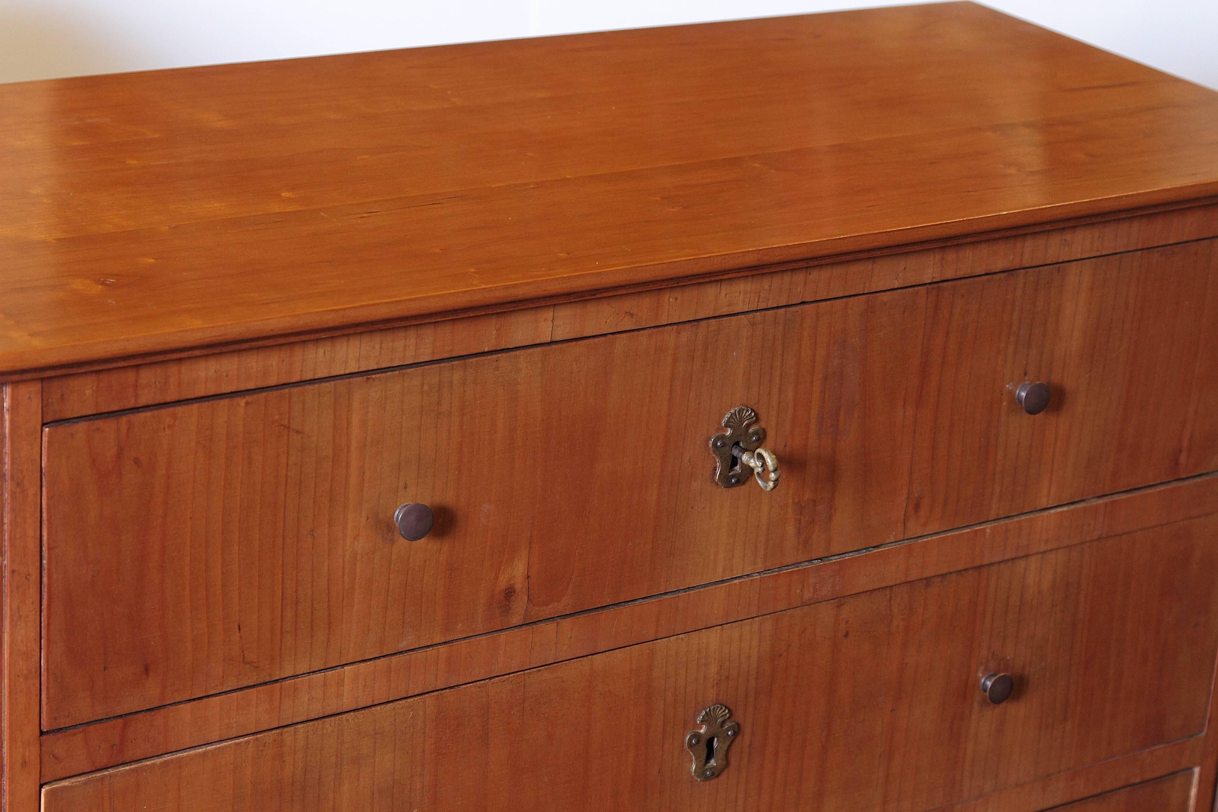 Pair of 19th Century German Biedermeier Commodes 4