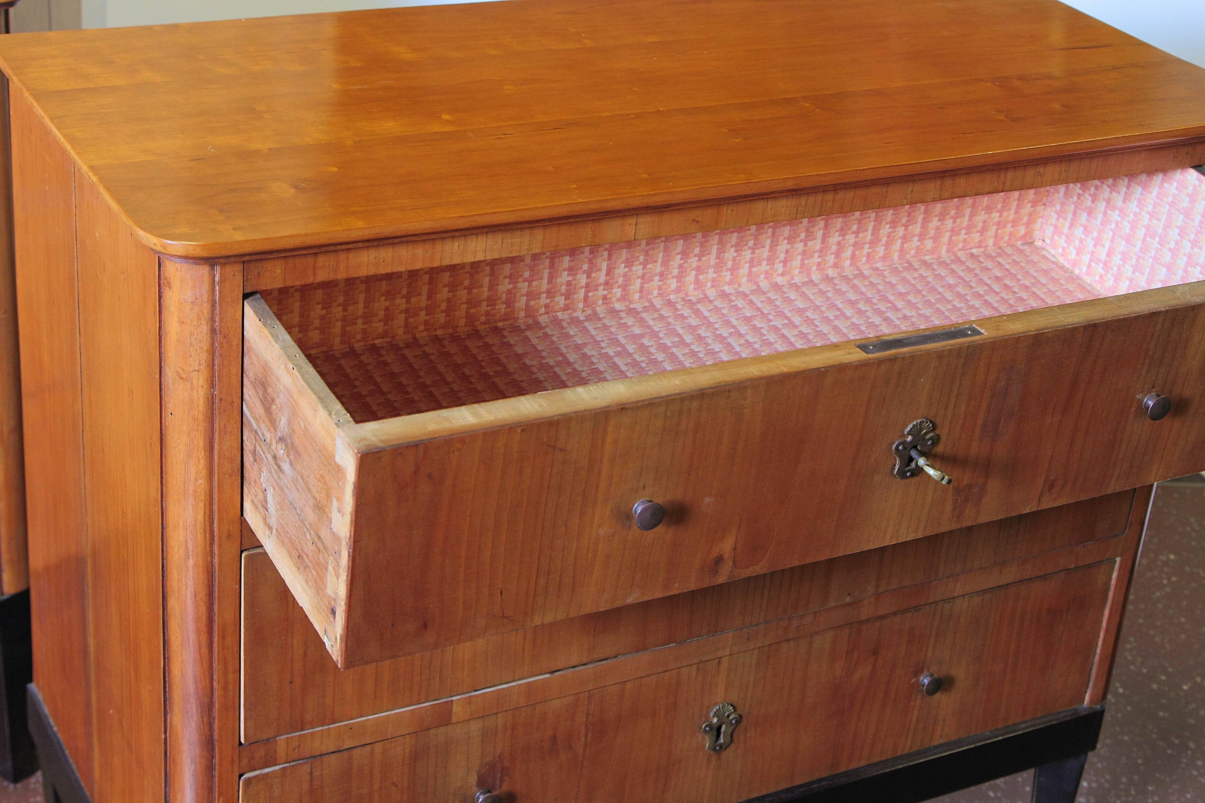 Pair of 19th Century German Biedermeier Commodes 5