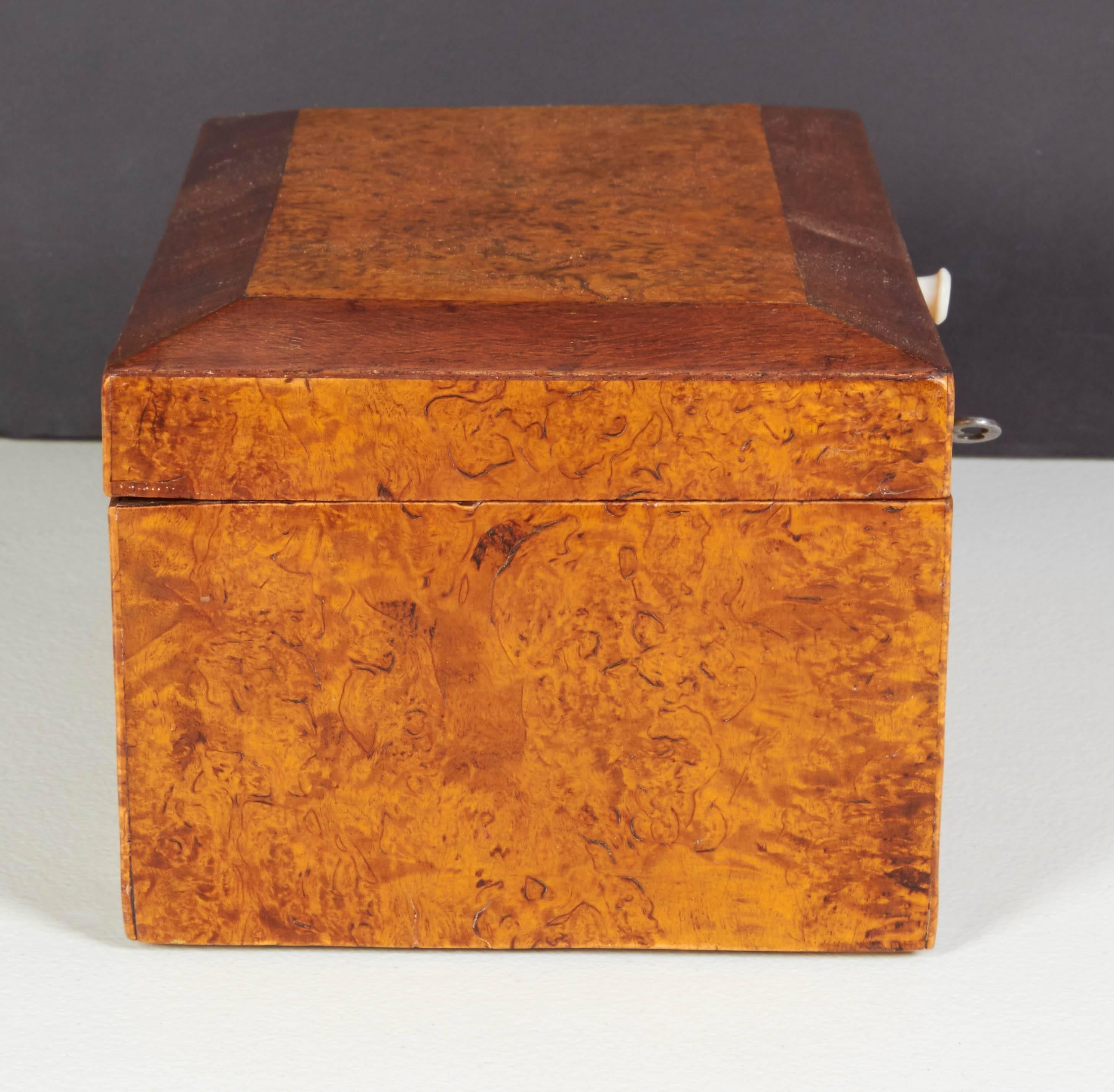 Mid-19th Century Swedish Birchroot Box
