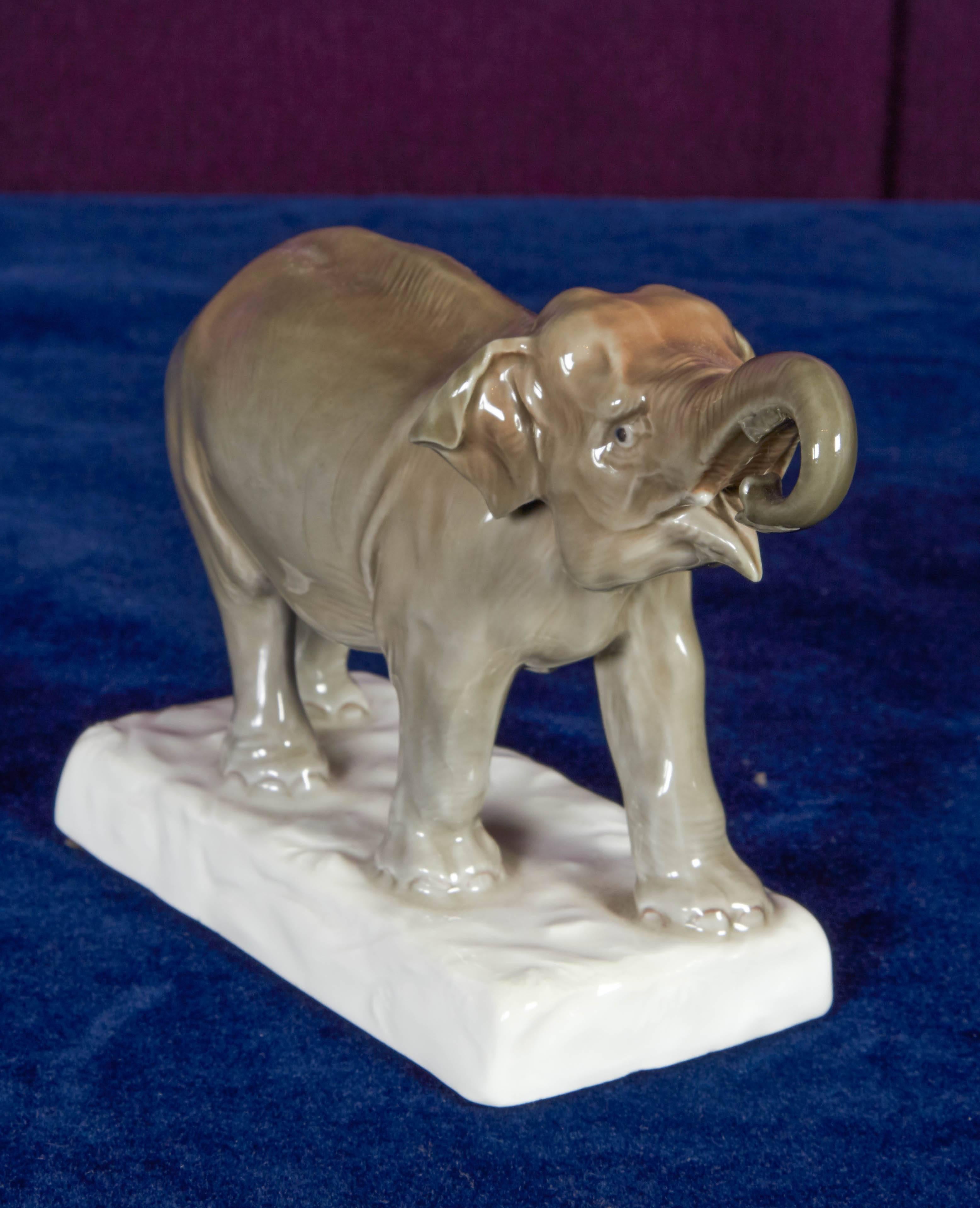 Eine in sorgfältiger Handarbeit gefertigte und handbemalte Meissener Porzellanfigur eines Elefanten. Der Künstler hat mit seinen Pinselstrichen und der Vermischung von Grau- und Brauntönen auch den kleinsten Falten besondere Aufmerksamkeit gewidmet